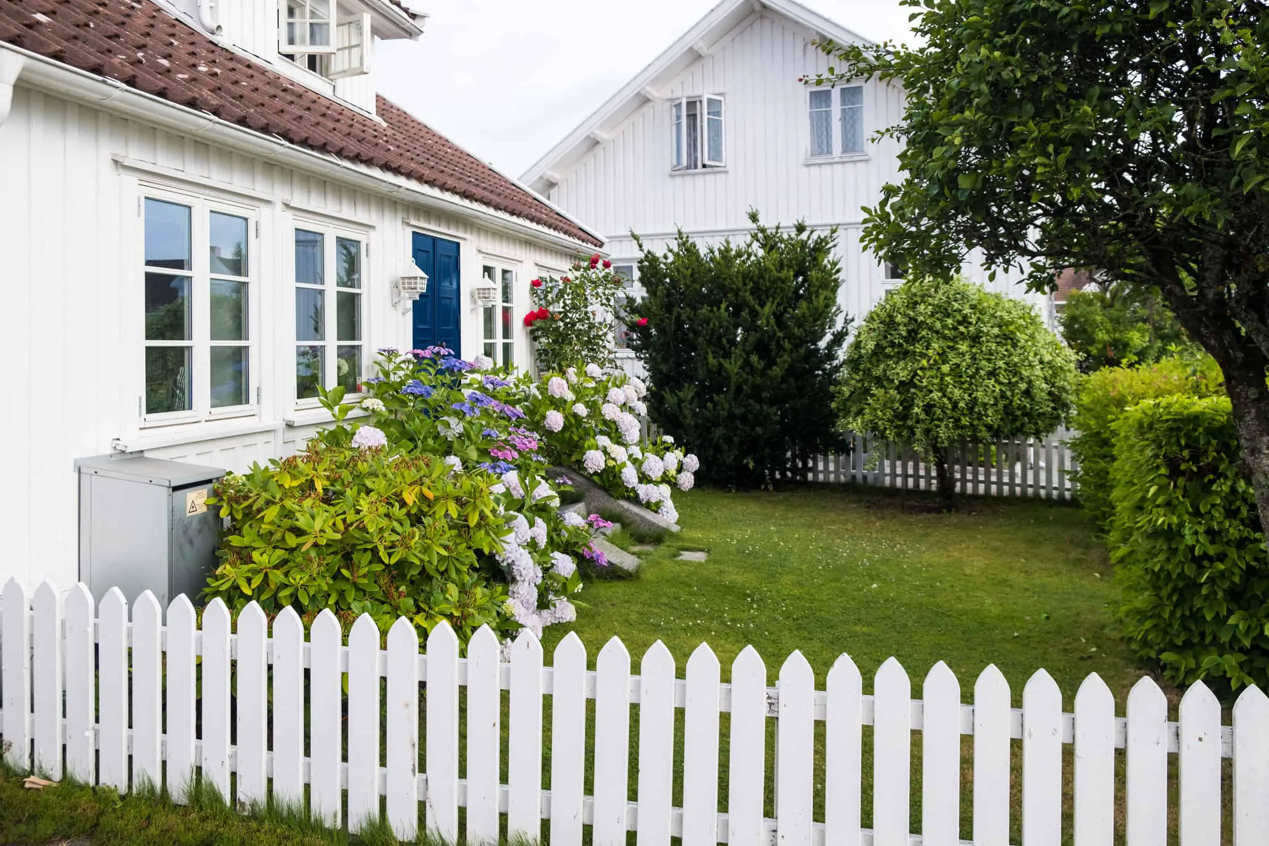 Many idyllic white houses with gardens full of flowers