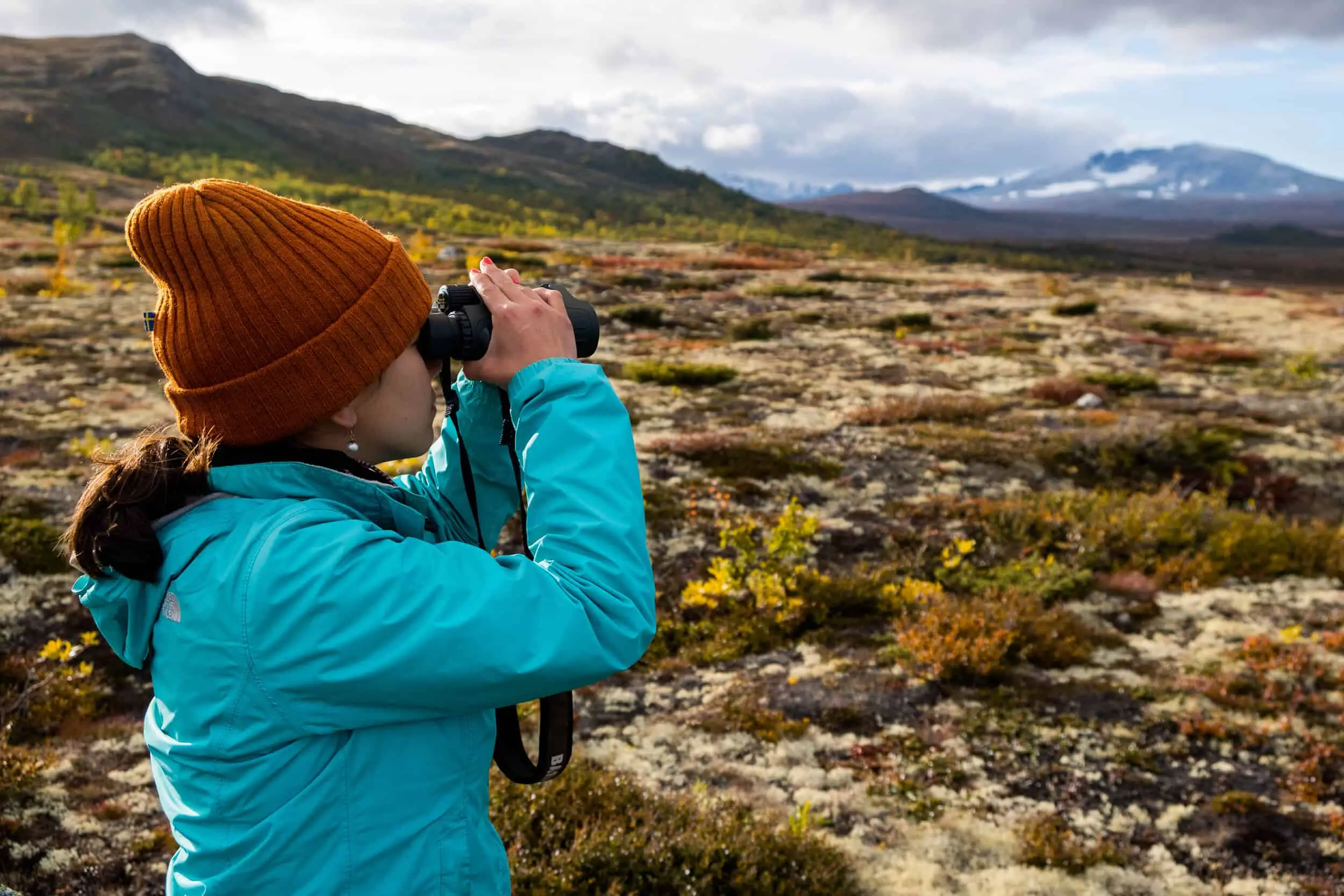 2. Dovrefjell Nasjonalpark jpg